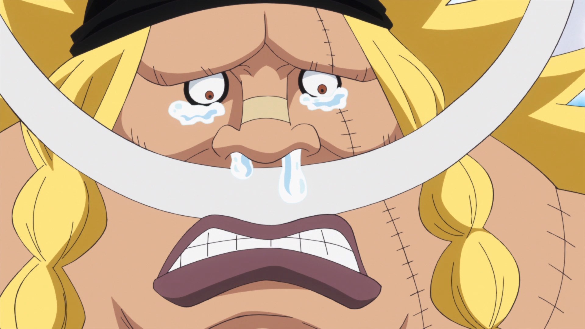 HorribleSubs One Piece - 752 1080p.mkv_snapshot_15.04 2016.08.07_10.36.48.j...